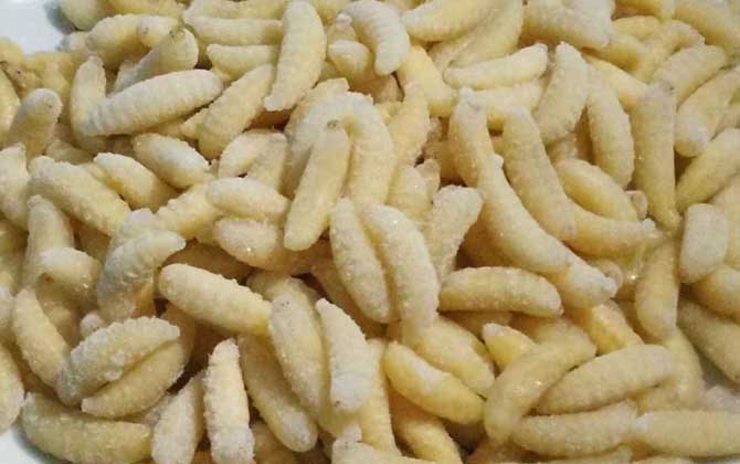 蜂蛹怎么吃最有營養? 蜂蛹