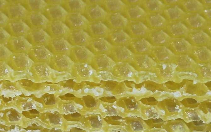 巢礎的參考價格及使用方法 巢礎