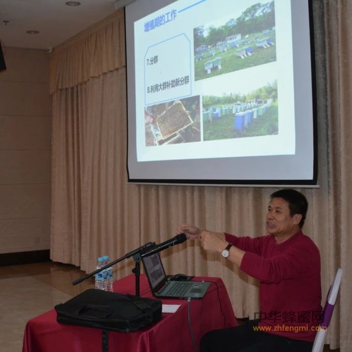 蜂研新聞｜龍井市舉辦春季養(yǎng)蜂實用技術(shù)培訓(xùn)班