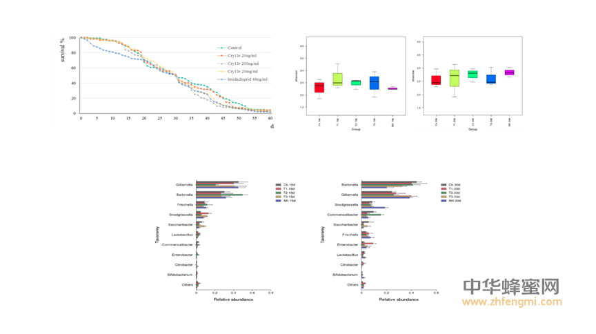 農(nóng)科院蜜蜂研究所2016年在蜜蜂病蟲害方面取得重要科研成果 蜜蜂 農(nóng)科院 蜜蜂所 病蟲害 蜂群