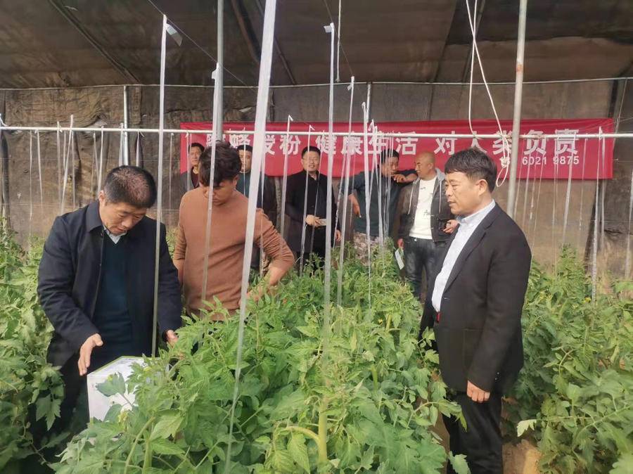 助力鄉(xiāng)村振興，山東省蜂業(yè)協(xié)會(huì)在曹縣舉辦熊蜂授粉推廣現(xiàn)場(chǎng)會(huì)