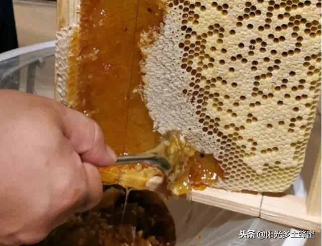 你試過刮脾取蜜嗎？它真的優(yōu)于搖蜜機取蜜嗎？