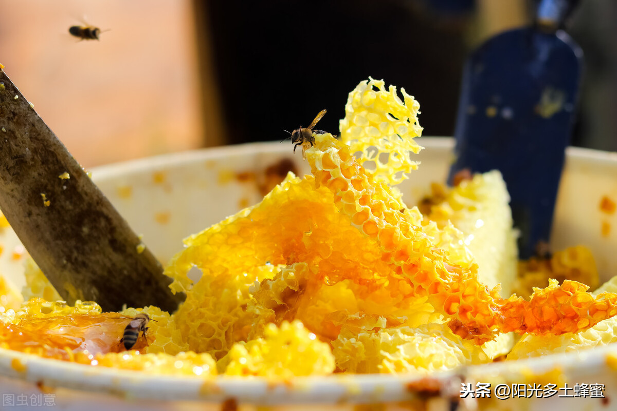 你試過刮脾取蜜嗎？它真的優(yōu)于搖蜜機取蜜嗎？