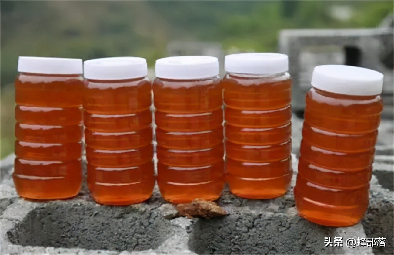 意大利引進(jìn)國內(nèi)的蜜蜂，嚴(yán)重危害中華蜜蜂，為啥我國還要大量養(yǎng)殖？