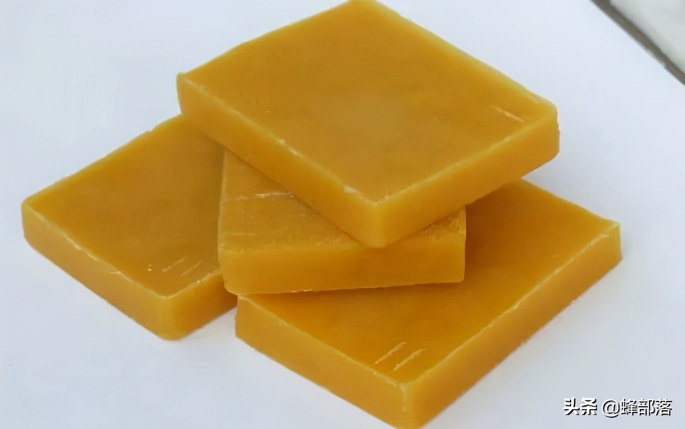 意大利引進(jìn)國內(nèi)的蜜蜂，嚴(yán)重危害中華蜜蜂，為啥我國還要大量養(yǎng)殖？