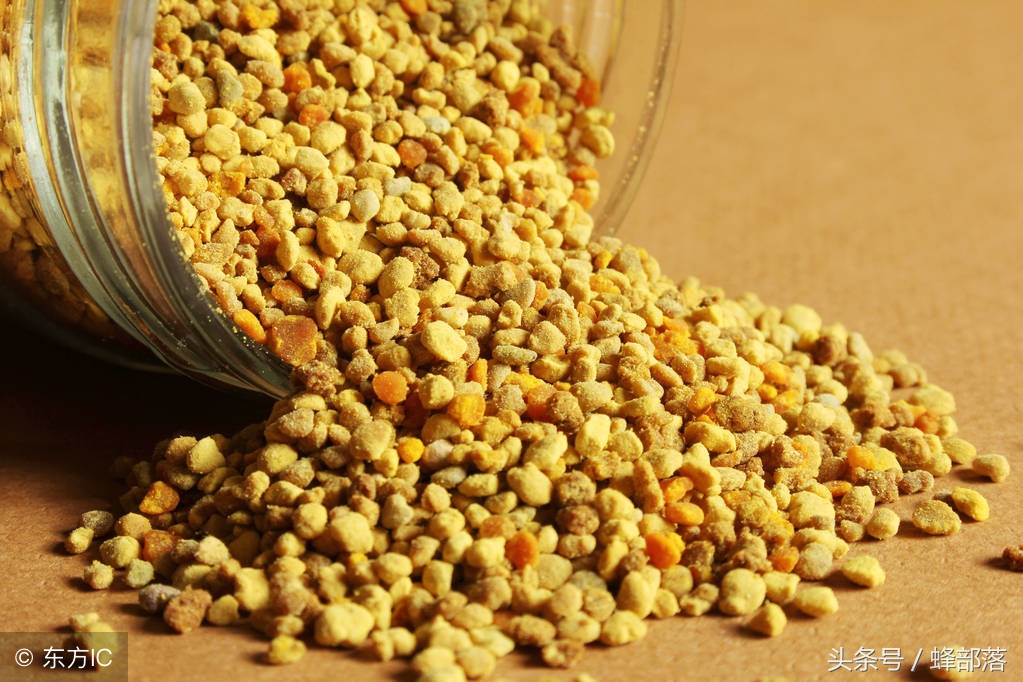 新手養(yǎng)中蜂，不破除這7個觀念，永遠別想走上養(yǎng)蜂致富道路