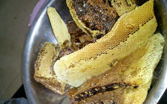 土養(yǎng)蜜蜂取蜜在什么時(shí)候好