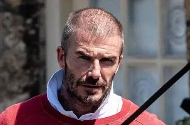 中國(guó)人哪里人最容易禿？這9個(gè)省份的人注意了