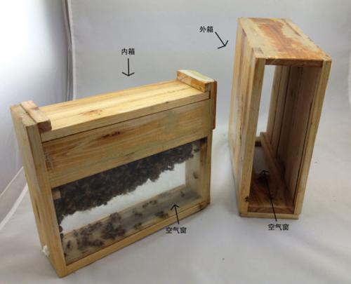 什么叫蜜蜂春繁(蜜蜂春繁是什么意思) 什么叫蜜蜂春繁(蜜蜂春繁是什么意思)