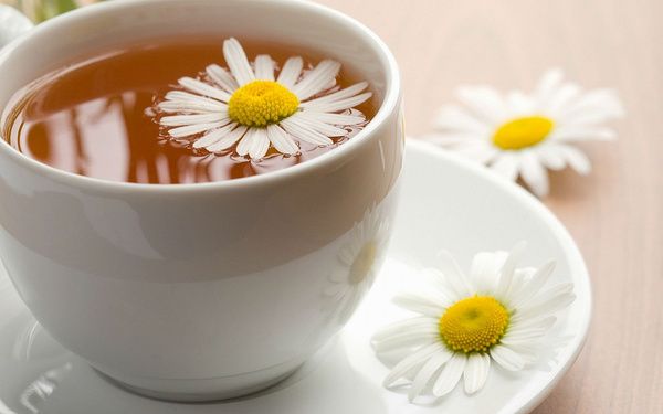 菊花蜂蜜茶的功效與禁忌(菊花茶蟲蜂蜜有什么效果) 菊花蜂蜜茶的功效與禁忌(菊花茶蟲蜂蜜有什么效果)