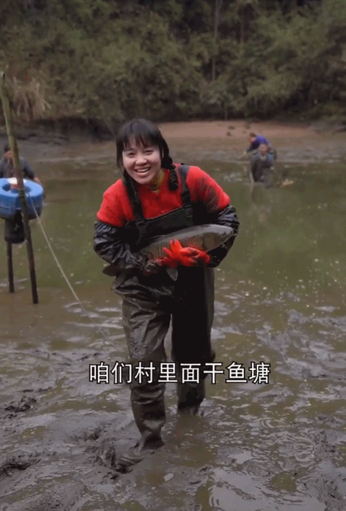 95后“村姑”靠直播插秧當上網紅(犁田、插秧、打鐵,真農活界“十項全能”)