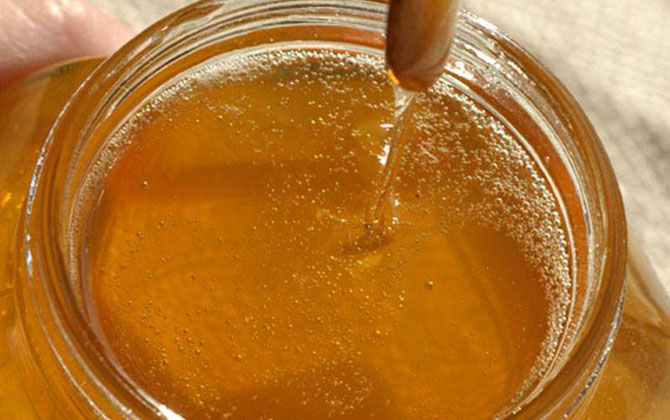 荔枝蜜花期多少天（荔枝蜜的產(chǎn)地分布）