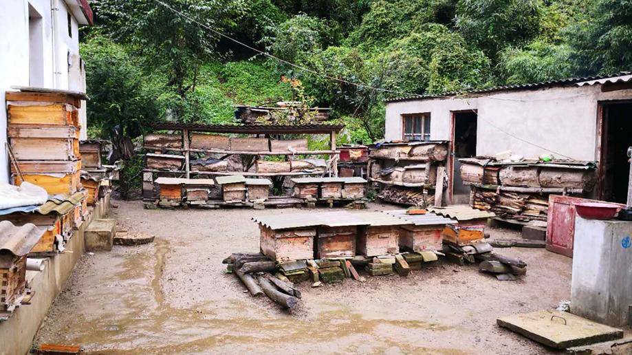 中蜂如何快速擴(kuò)大蜂場(中蜂這樣擴(kuò)場快) 中蜂如何快速擴(kuò)大蜂場(中蜂這樣擴(kuò)場快)