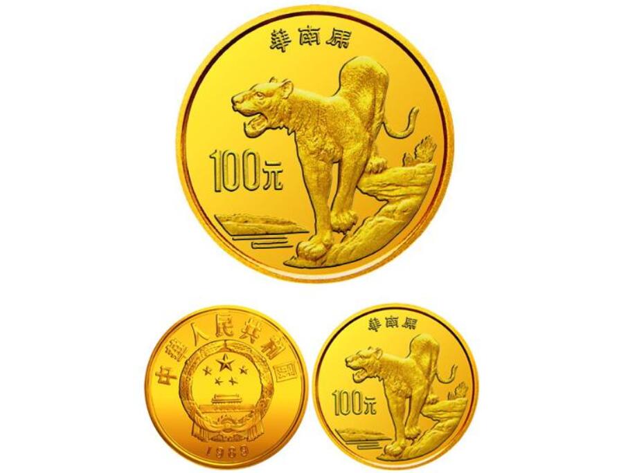 消失100多年！云南發現極危物種異葉苣苔，野生華南虎會出現嗎？