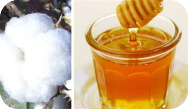 有哪些蜂蜜是最常見的(常見的17種蜂蜜介紹) 有哪些蜂蜜是最常見的(常見的17種蜂蜜介紹)