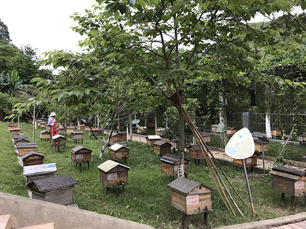 養(yǎng)蜂合作社有哪些補(bǔ)貼（成立養(yǎng)蜂合作社的條件和補(bǔ)貼申請(qǐng)）