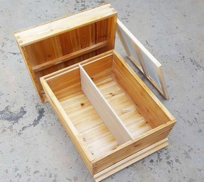 什么樣的蜂群不能采用標準活框蜂箱? 什么樣的蜂群不能采用標準活框蜂箱?