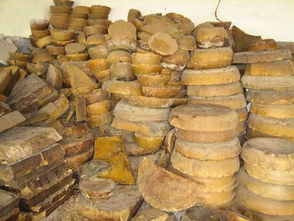 養(yǎng)20窩虎頭蜂一年利潤(rùn)（養(yǎng)殖二十箱蜜蜂一年收入有多少）