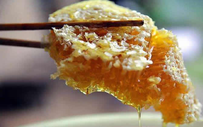 什么是土蜂蜜 什么是土蜂蜜