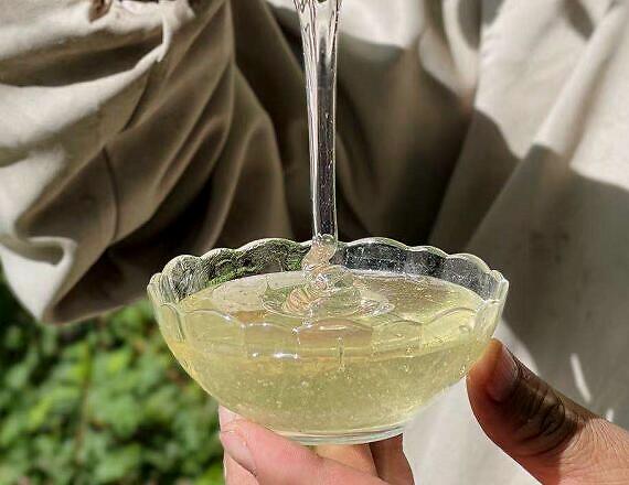 未成熟的蜂蜜對(duì)身體有什么危害(不成熟的蜂蜜好嗎) 未成熟的蜂蜜對(duì)身體有什么危害(不成熟的蜂蜜好嗎)