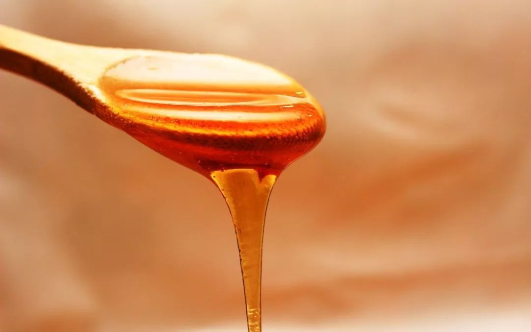 蜜蜂分蜂一般會(huì)往哪飛（蜜蜂分蜂后第一次結(jié)團(tuán)時(shí)間大約是多久）