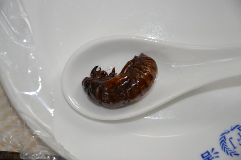 孕婦可以吃蜂蛹嗎(小孩可以吃蜂蛹嗎) 孕婦可以吃蜂蛹嗎(小孩可以吃蜂蛹嗎)