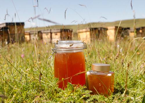 蜂蜜吃多了會怎么樣(蜂蜜多吃吃的壞處和副作用) 蜂蜜吃多了會怎么樣(蜂蜜多吃吃的壞處和副作用)