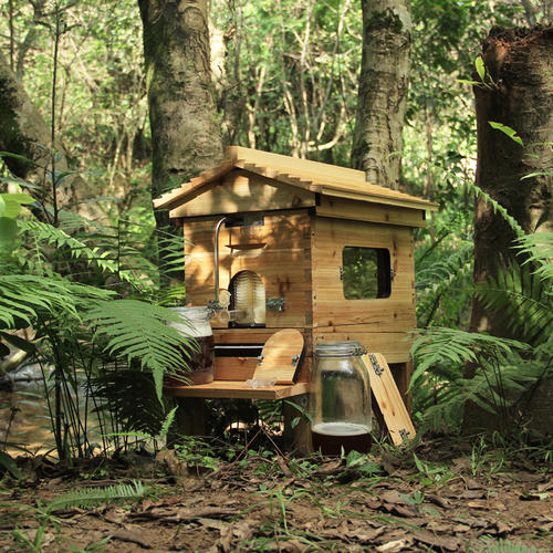 蜜蜂箱附近有螞蟻怎么防治(蜂箱內(nèi)有螞蟻怎么防治) 蜜蜂箱附近有螞蟻怎么防治(蜂箱內(nèi)有螞蟻怎么防治)