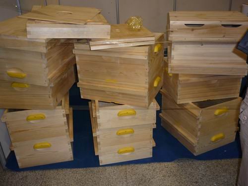 多少脾蜂才能分蜂（中蜂養(yǎng)殖，如何給蜜蜂分蜂）