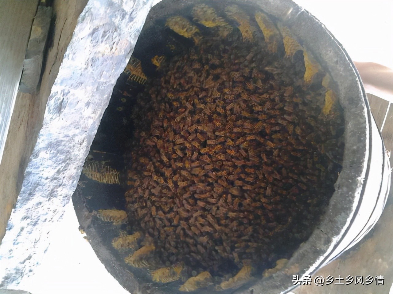 誘蜂技巧和方法（快速簡單又高效的誘蜂技術(shù)和方法）