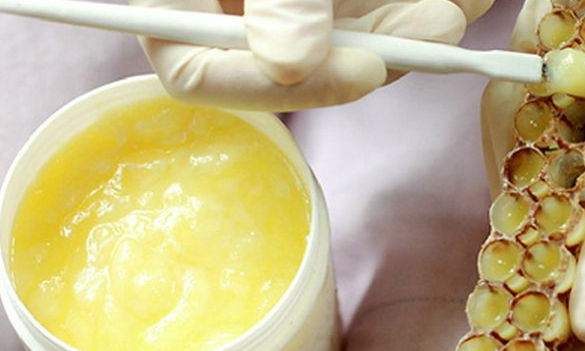 蜂乳和蜂蜜的區別（什么是蜂乳，和蜂蜜有啥區別）