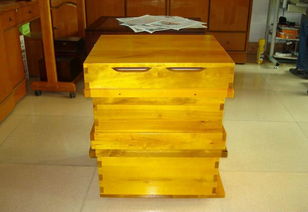 買了一只蜂王和20只工蜂能發(fā)展起來嗎(一只中蜂王配二十只工蜂能帶動發(fā)展) 買了一只蜂王和20只工蜂能發(fā)展起來嗎(一只中蜂王配二十只工蜂能帶動發(fā)展)