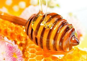 食用蜂蜜的禁忌(蜂蜜的食用方法和七個禁忌) 食用蜂蜜的禁忌(蜂蜜的食用方法和七個禁忌)