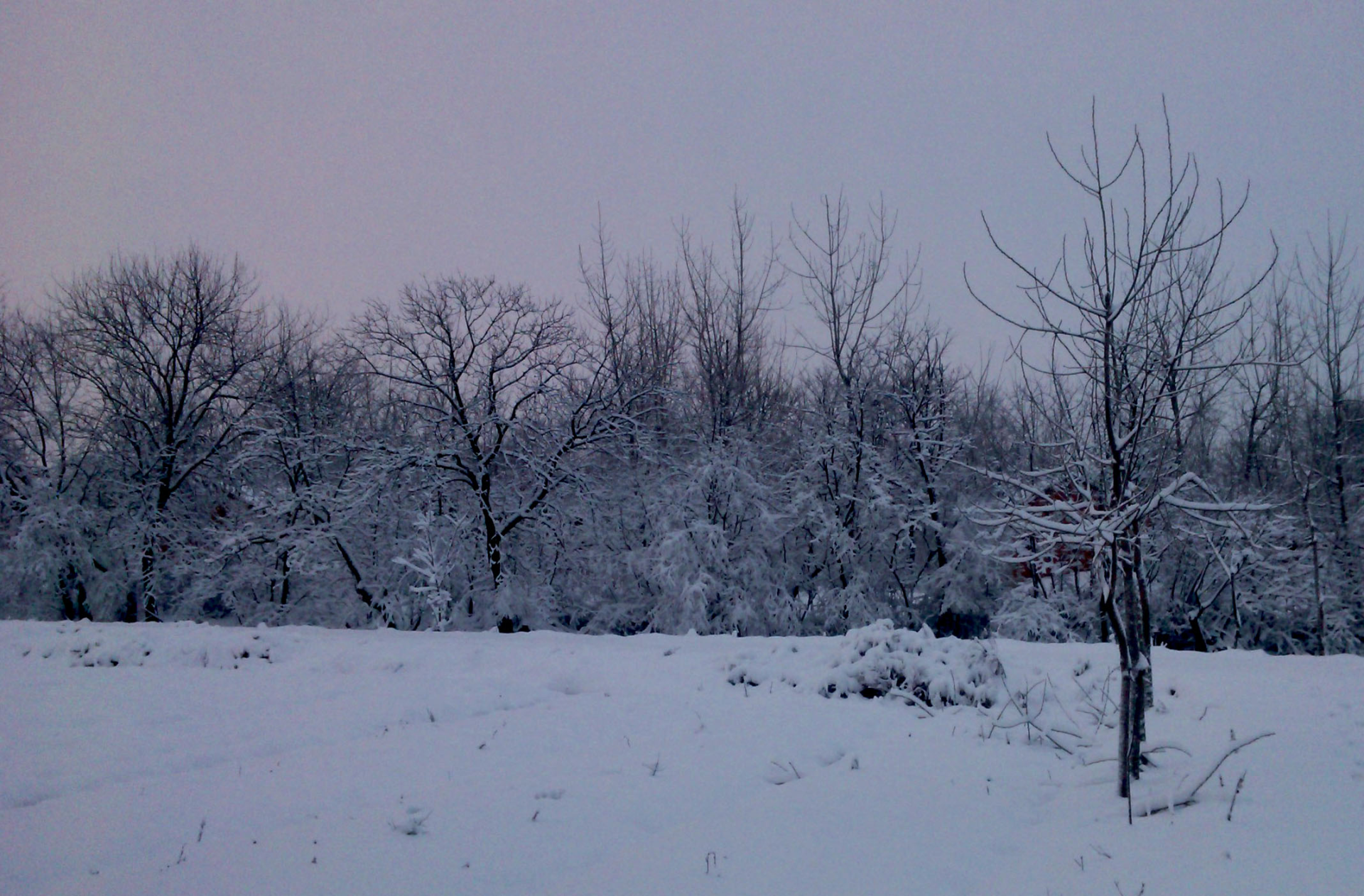 35℃!南方入秋失敗,東北已提前供暖,今年氣候為何如此反常 35℃!南方“重回盛夏”,高溫何時結束,為啥今年氣候如此反常?