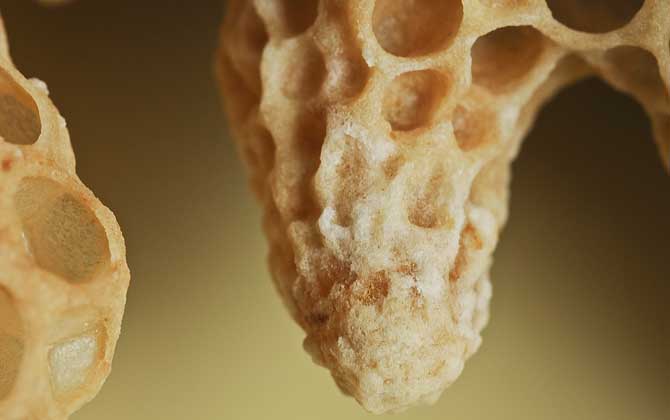 什么是王臺(tái) 什么是王臺(tái)