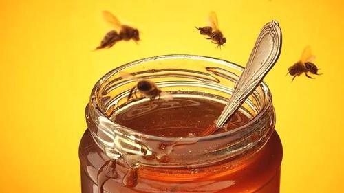 假蜂蜜是怎么做出來(lái)的？有毒嗎？(教你鑒別真假蜂蜜)