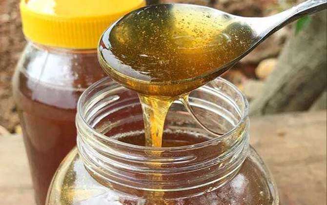 烏桕蜜多少錢一斤 烏桕蜜多少錢一斤