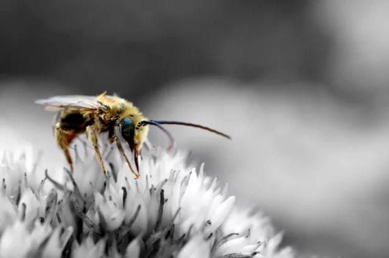 冬天會(huì)有螨蟲嗎(冬天螨蟲多還是夏天螨蟲多) 冬天會(huì)有螨蟲嗎(冬天螨蟲多還是夏天螨蟲多)
