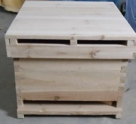 中蜂場地被意蜂侵害怎么辦(中蜂被意蜂盜蜜的緊急處理) 中蜂場地被意蜂侵害怎么辦(中蜂被意蜂盜蜜的緊急處理)