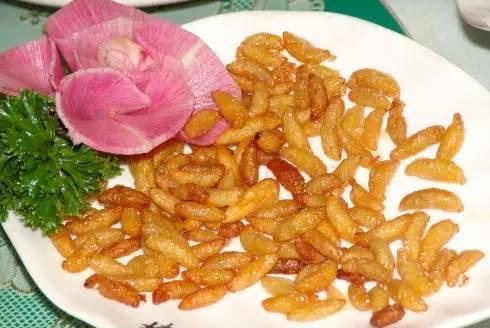 什么是蜂蛹(蜂蛹是什么樣的) 什么是蜂蛹(蜂蛹是什么樣的)