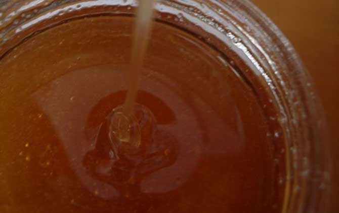 枸杞蜂蜜價(jià)格(枸杞蜂蜜的營(yíng)養(yǎng)價(jià)值) 枸杞蜂蜜價(jià)格(枸杞蜂蜜的營(yíng)養(yǎng)價(jià)值)