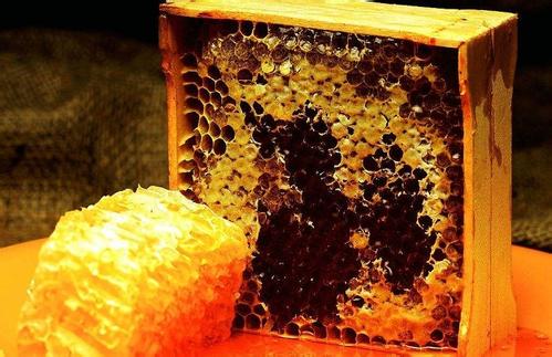 蜜蜂多少錢一箱