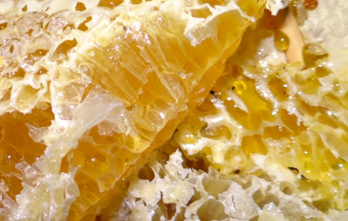 野桂花蜜是什么樣的(桂花蜜來源及蜜源介紹) 野桂花蜜是什么樣的(桂花蜜來源及蜜源介紹)