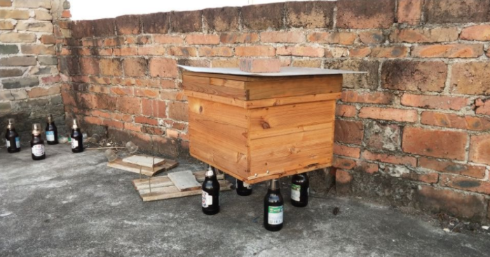 蜂王一年產(chǎn)卵幾次(一只蜂王一年能產(chǎn)幾次卵) 蜂王一年產(chǎn)卵幾次(一只蜂王一年能產(chǎn)幾次卵)