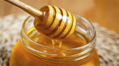 一棵烏桕能采多少蜜（一顆烏桕樹(shù)能流多少蜜）