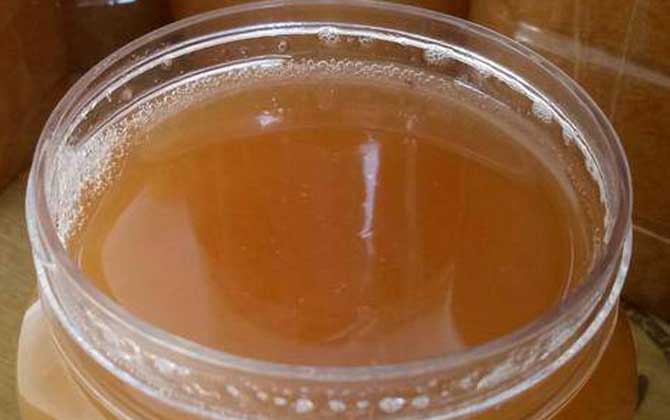 鴨腳木蜜結(jié)晶后什么樣的(鴨腳木蜜結(jié)晶好還是不結(jié)晶好) 鴨腳木蜜結(jié)晶后什么樣的(鴨腳木蜜結(jié)晶好還是不結(jié)晶好)