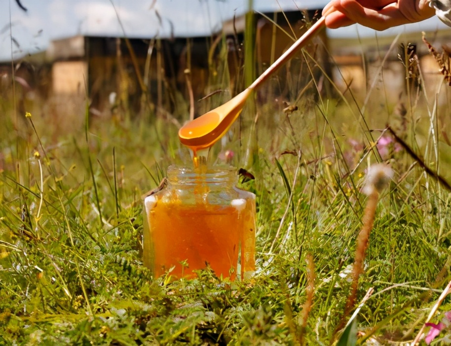 蜂蜜一天喝多少合適(蜂蜜每天喝多少最適合對身體好) 蜂蜜一天喝多少合適(蜂蜜每天喝多少最適合對身體好)