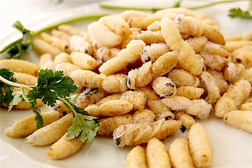 蜂蛹的做法大全(附帶9種蜂蛹做法) 蜂蛹的做法大全(附帶9種蜂蛹做法)