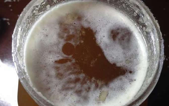 蜂蜜上面有一層泡沫 蜂蜜上面有一層泡沫