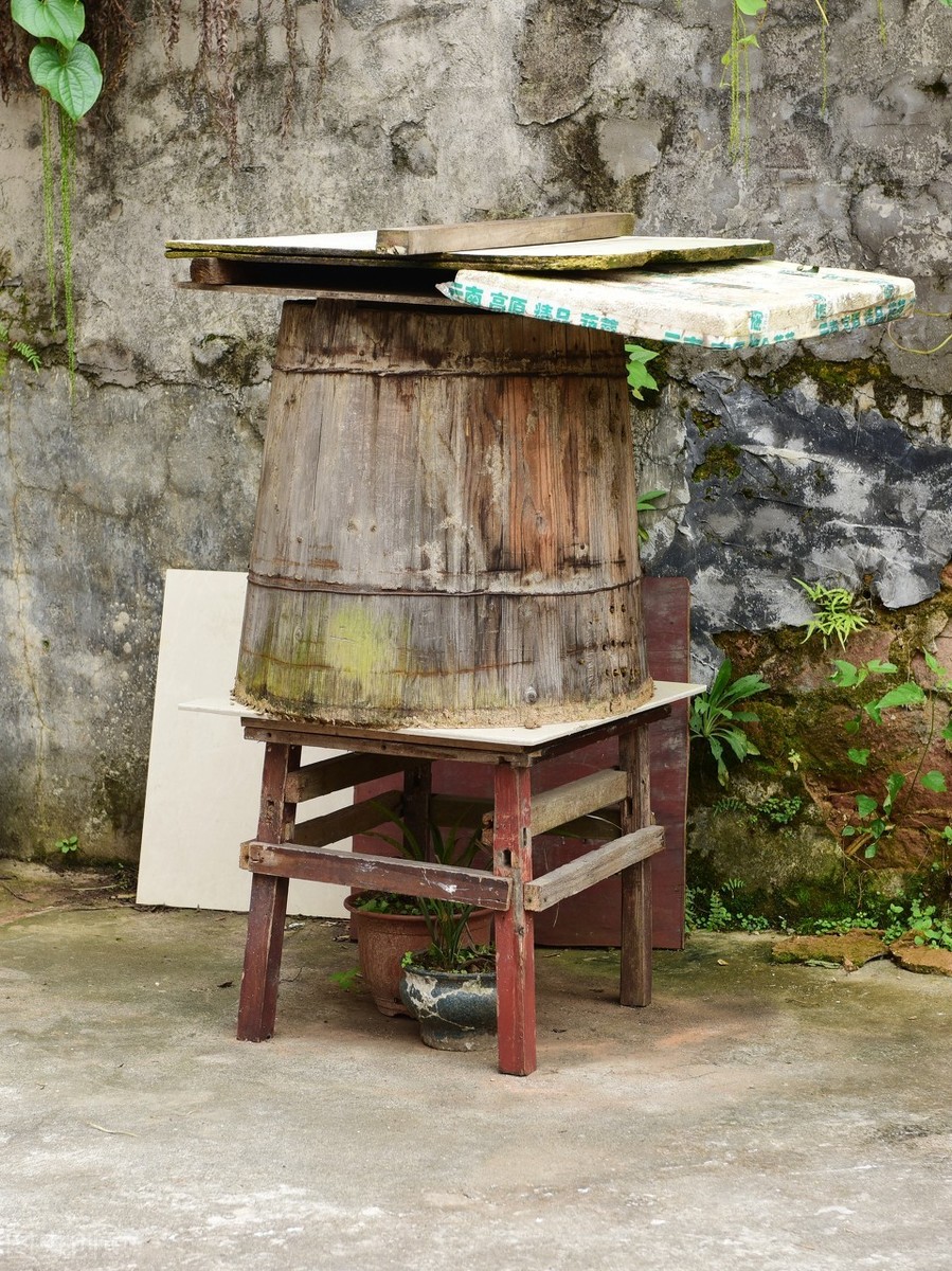 土養蜜蜂冬天怎么喂(中華蜂土養如何安全越冬) 土養蜜蜂冬天怎么喂(中華蜂土養如何安全越冬)